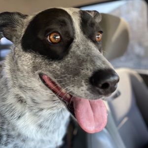 Meet your Posher, Lynn